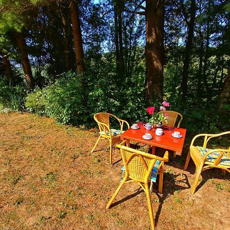 Kuca Za Odmor "Livadica" Villa Netretic Luaran gambar