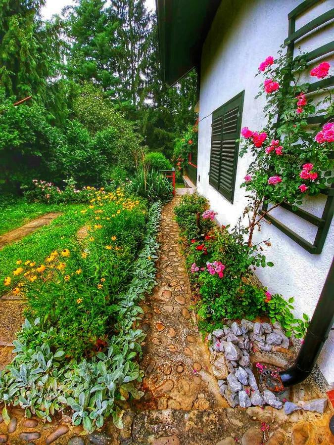 Kuca Za Odmor "Livadica" Villa Netretic Luaran gambar