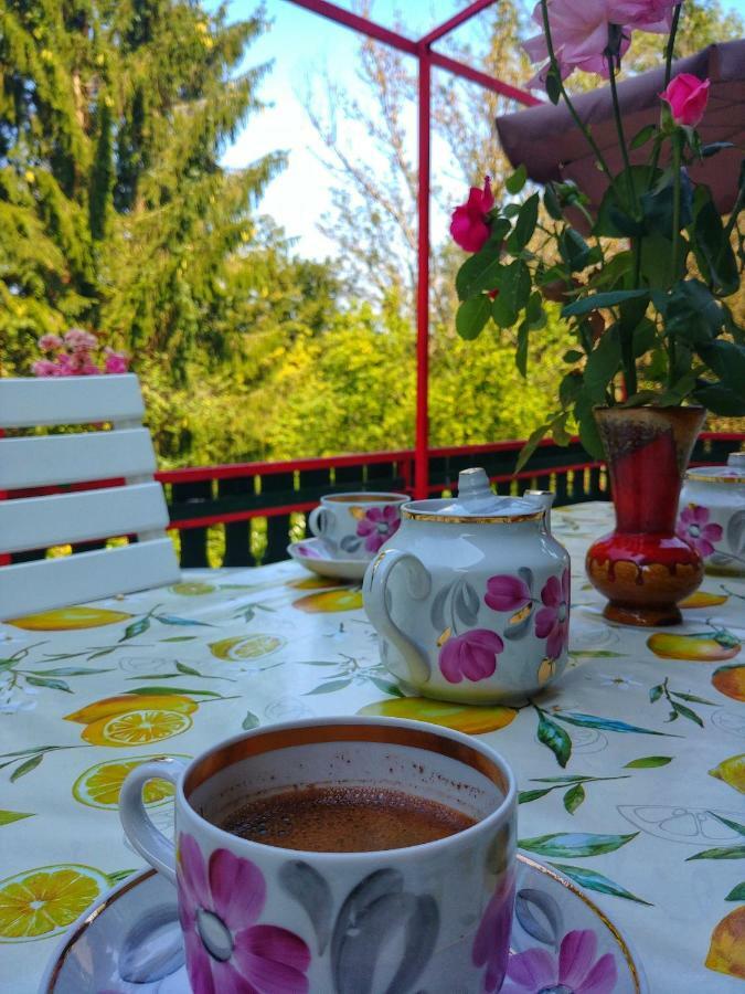Kuca Za Odmor "Livadica" Villa Netretic Luaran gambar