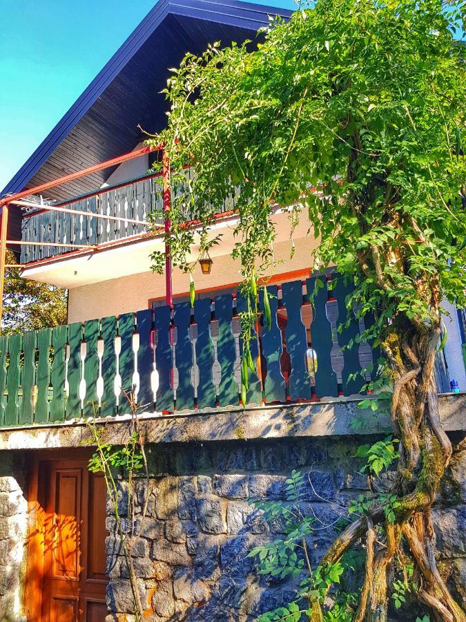 Kuca Za Odmor "Livadica" Villa Netretic Luaran gambar
